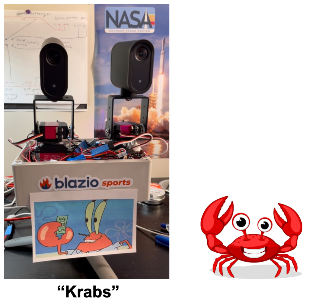 Krabs and crab